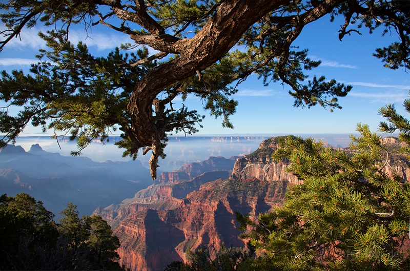 Es zog den Blick regelrecht hinein
